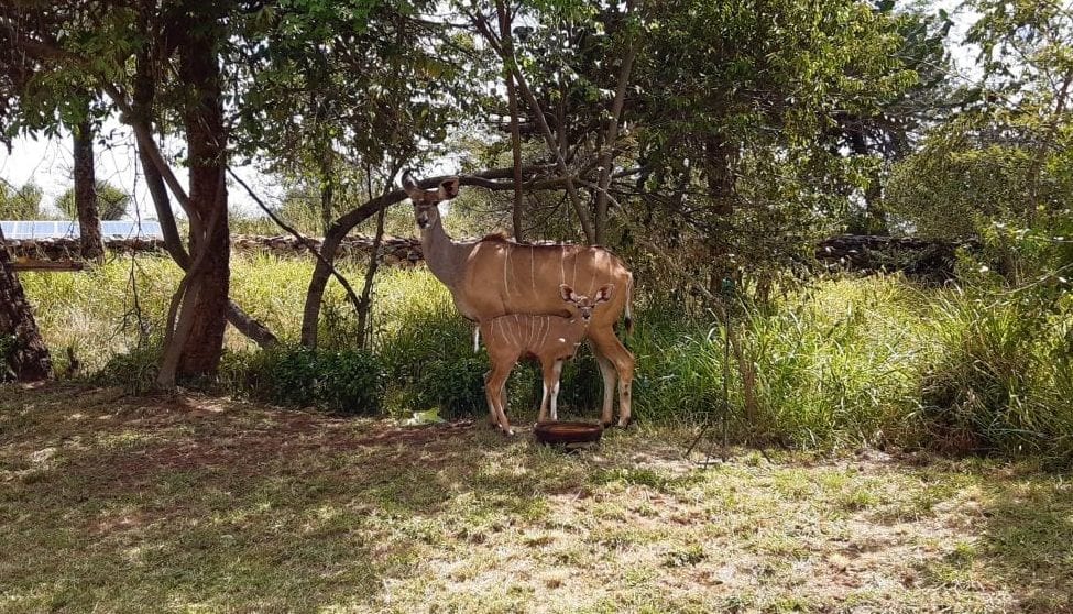 Binti with her mother in George and Theresa’s garden
