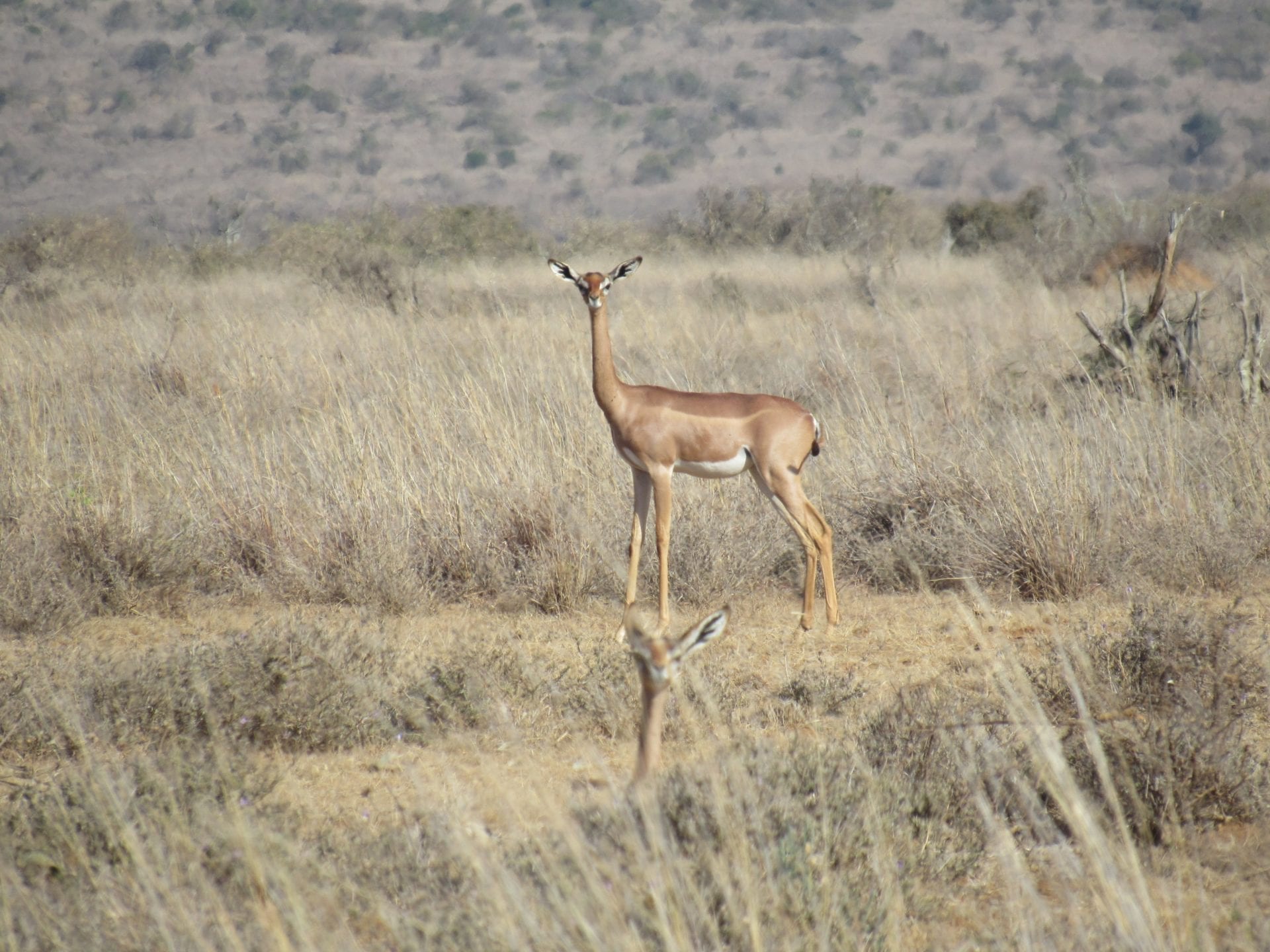 Photo: Hannah Campbell