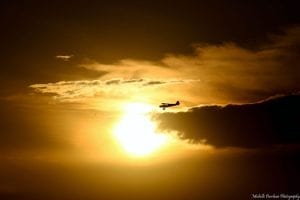 © Michelle Purchase