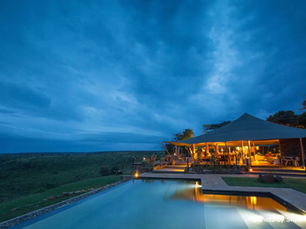 The Phoenix has risen from the ashes