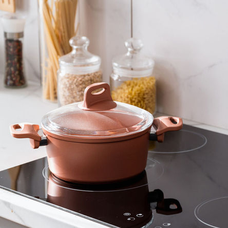 How do Induction Stoves work?