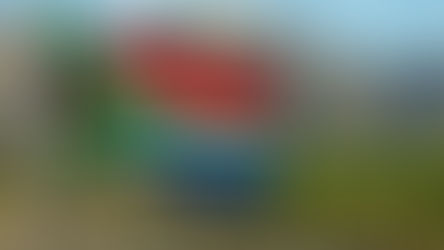 Verkiezingen in Zuid-Afrika: Wat zijn de gevolgen voor de wijnindustrie?