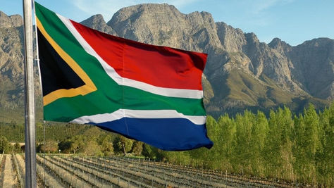 Verkiezingen in Zuid-Afrika: Wat zijn de gevolgen voor de wijnindustrie?