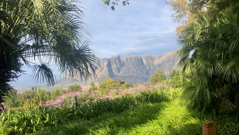 Nieuwe columnist: Bregje van Weezel