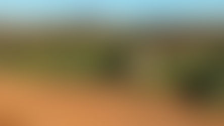 De oogst van 2024 in Zuid-Afrika: vroeg, klein én fijn!