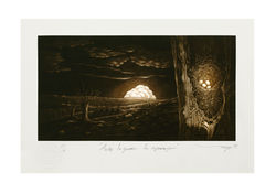 Ante la guerra... la esperanza baja