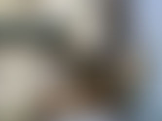 (Sold) SOGOTEC_BD3217