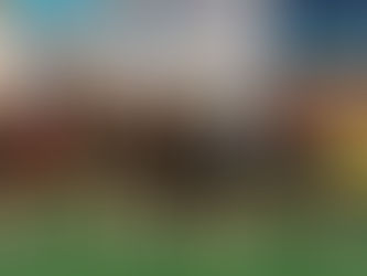 Змагання з баскетболу серед дівчат між закладами загальної середньої освіти Коростенського району.