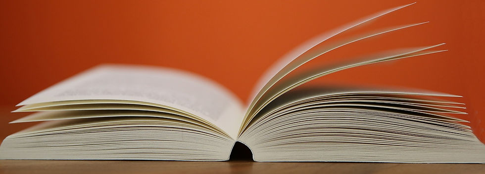 openbook 1a cropped.jpg