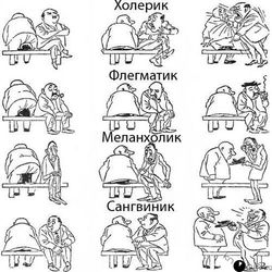 Խառնվածքի 4 տիպեր