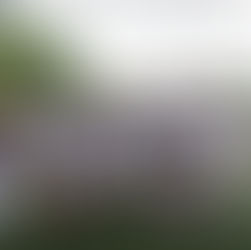 Company Sports Activities – 2023