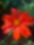 IMG_7865.jpeg