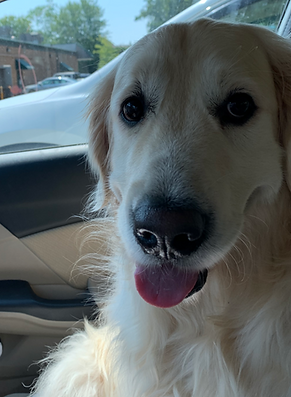 65168682241__F86216AE-9A39-40AD-AA50-6BE