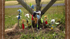 Theme: Myself and  My world / My senses / Belonging and cooperation / Taking care of my body / Feeli