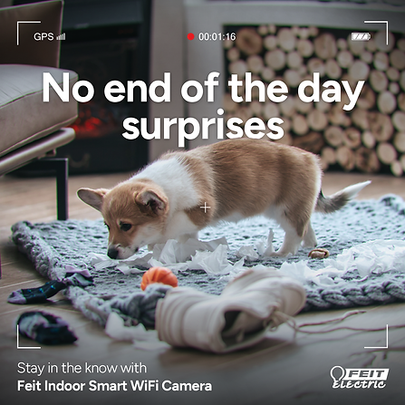 feit - security 2.png