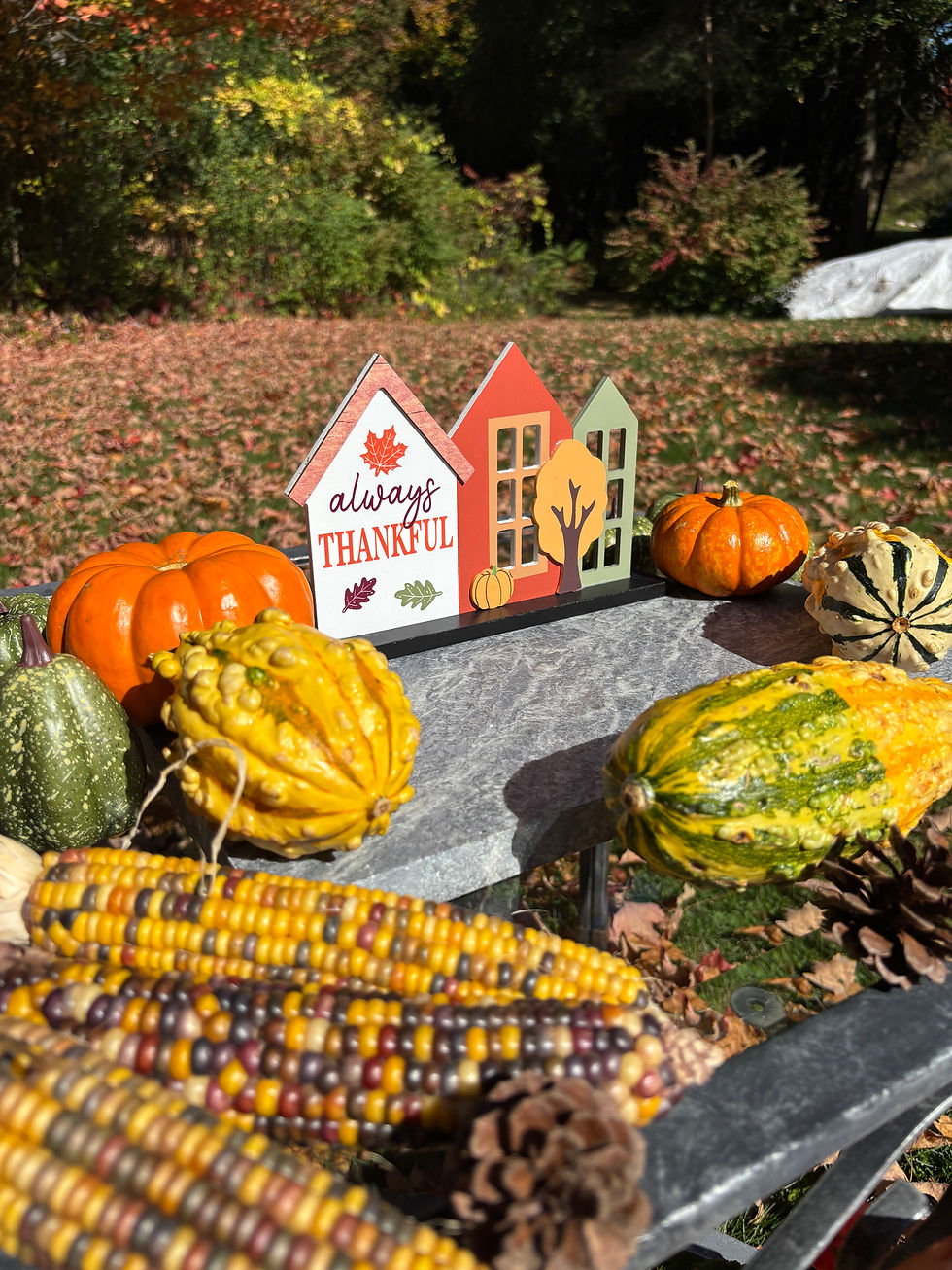 A festive Thanksgiving arrangement showcasing pumpkins, vibrant gourds, Indian corn, and a seasonal sign that says "Always Thankful," all set against a backdrop of autumn leaves © Soapstone Pros, 2025