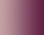Hair%20Scholars%20Background_edited.jpg