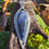 Miniature : Pendentif sodalite