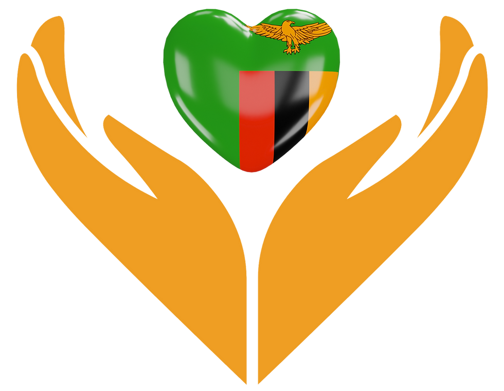Zambia (5).png