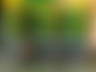 寄付のお礼申し上げます。
