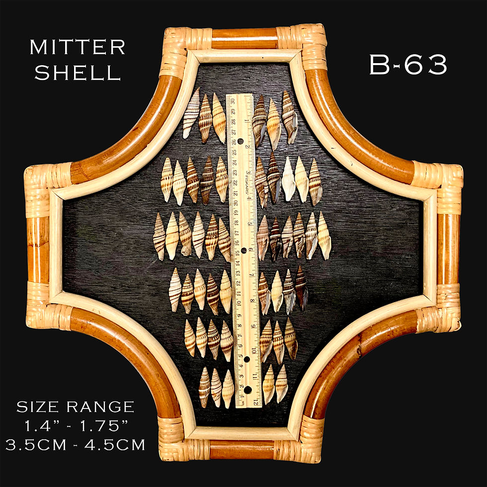 Mitter Shells (B63)