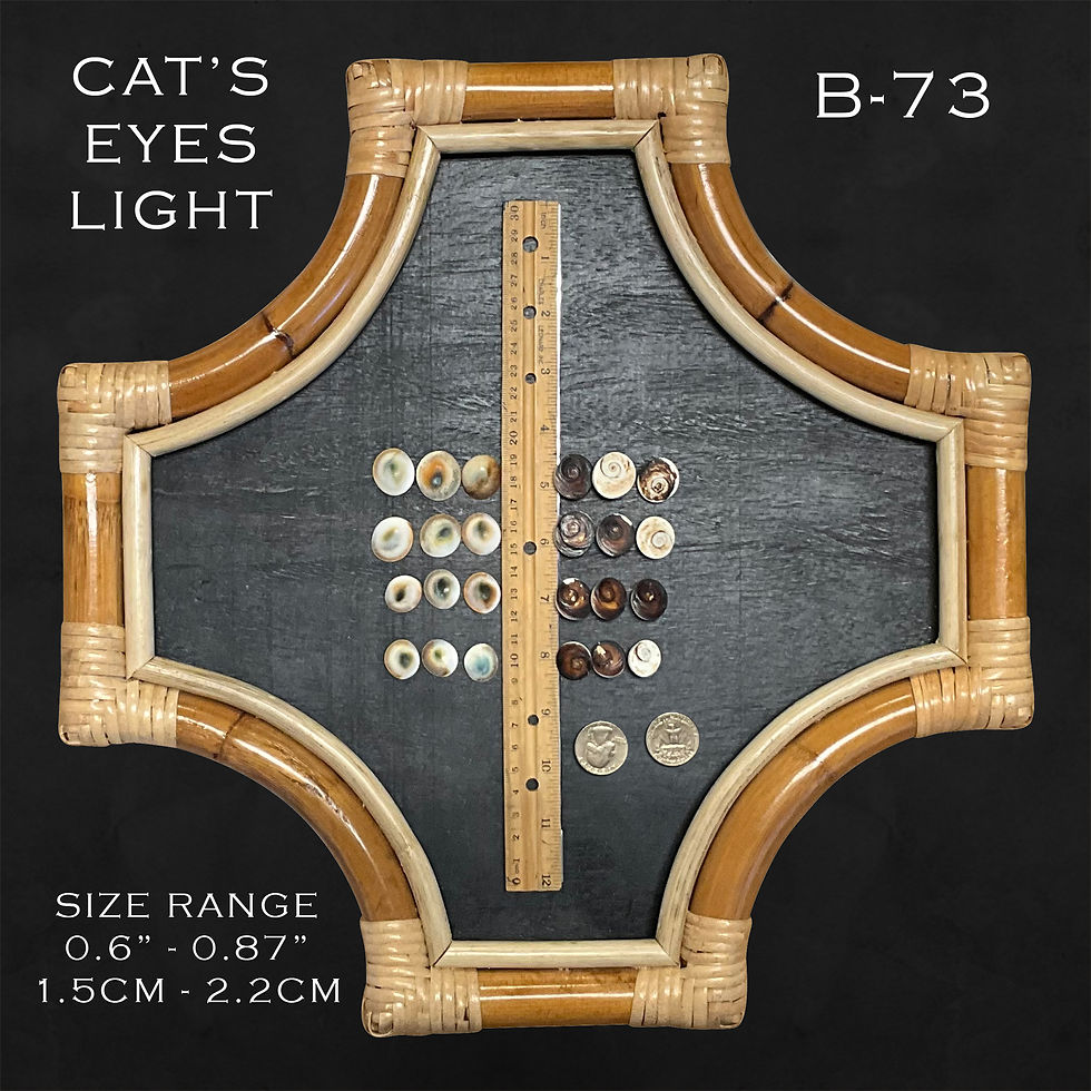 Cat Eyes Light Shells (B73)