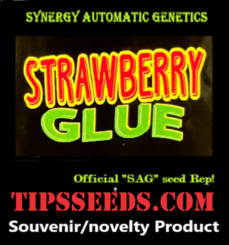 Thumbnail: Strawberry Glue