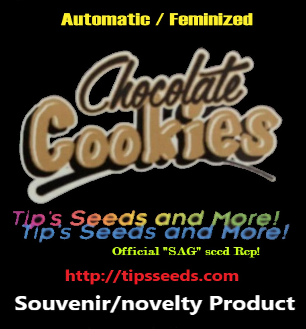 Thumbnail: Chocolate Cookies