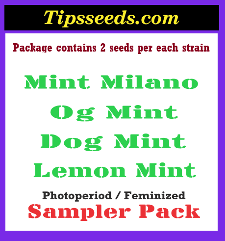 Thumbnail: Sampler Boxes
