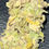 Thumbnail: Zkittlez Lemon Haze