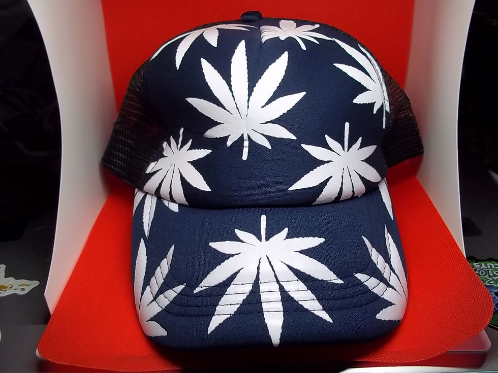 Thumbnail: Baseball Caps