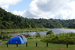 lake-rotokare-taranaki.jpg