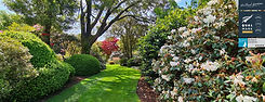 hollard-gardens-taranaki.jpg