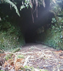 McCluggage-Tunnel.jpg