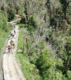 Whangamomona-Road.png