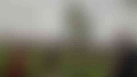 coverimage2