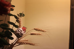 IMG_9237.JPG