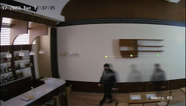 Hikvision PT camera series