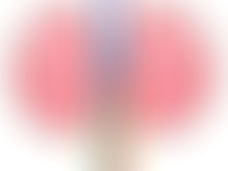 沈黙の臓器―腎臓―