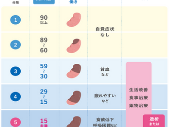 慢性腎臓病(CKD)