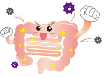 腸を活発に その1