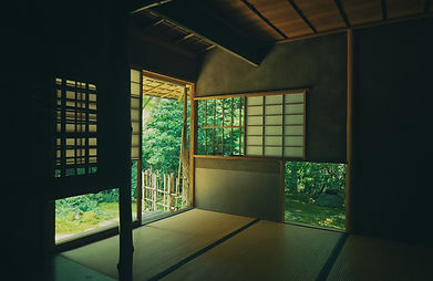 ayumi-kubo-IAgczbi1B-M-unsplash.jpg