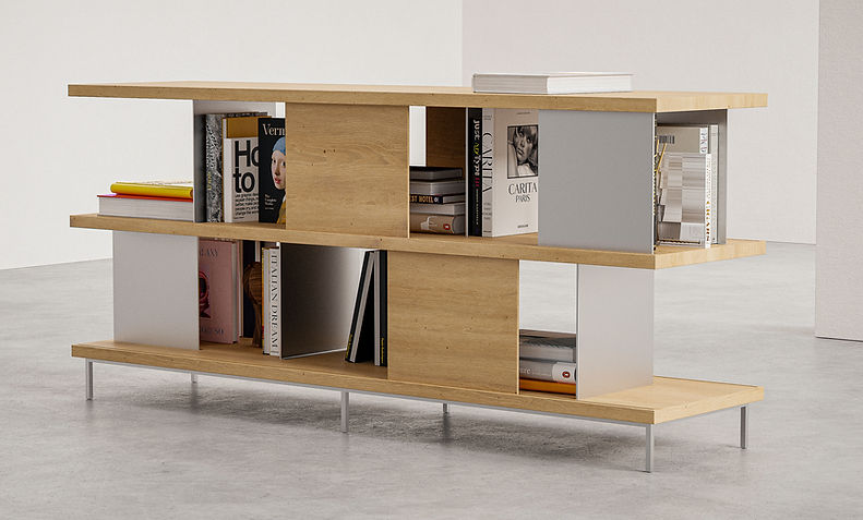Aimé portfolio render-3.jpg
