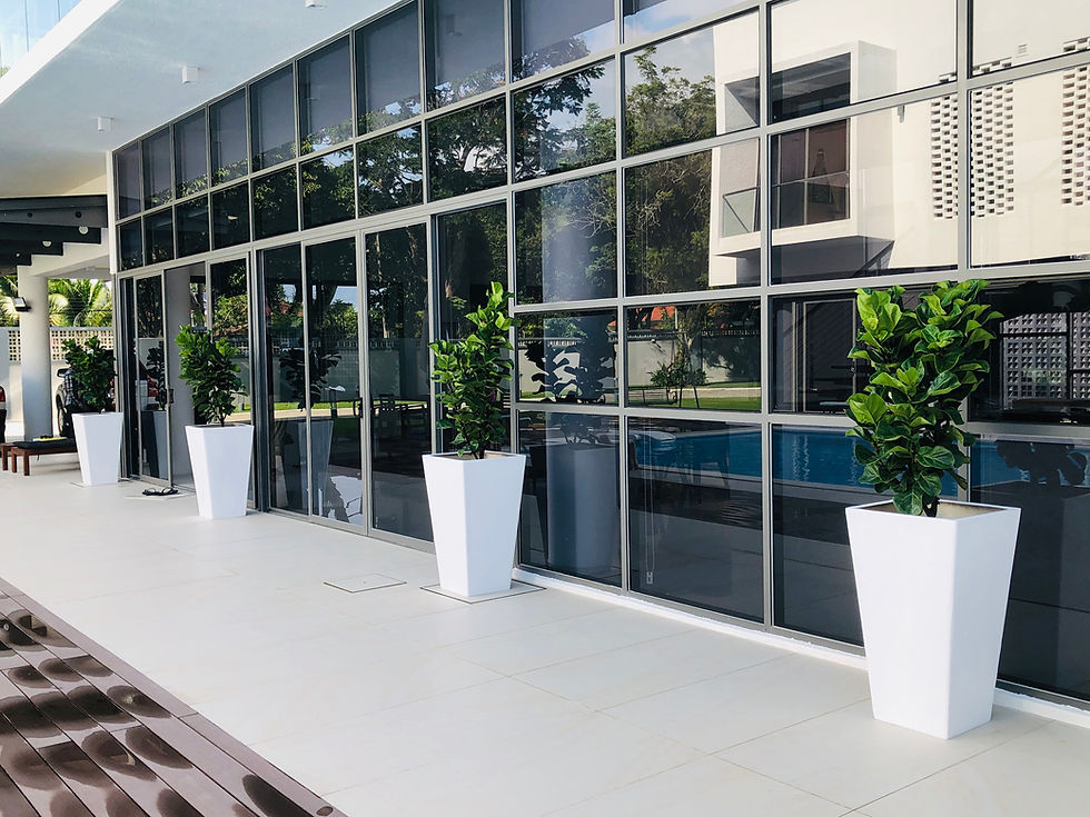 Bloomix Plant Rental Service