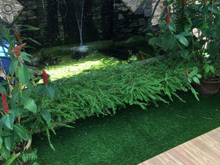 Premier Grass on Roof Garden