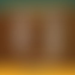 Division 1 Final At The Crease