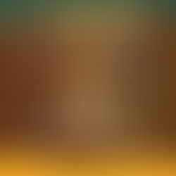 Cricket Ipswich Community Grand Finals!