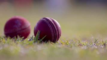 The Game We Love Out Here