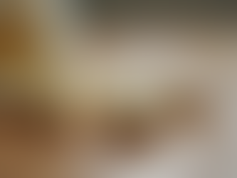 Women's Bioidentical Hormone Therapy: A Guide for Women