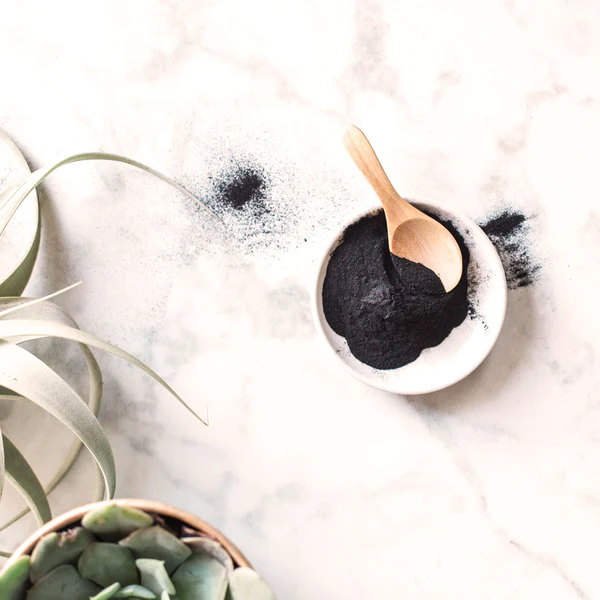 Skin-Care-Benefits-Activated-Charcoal4_600x600_crop_center.webp
